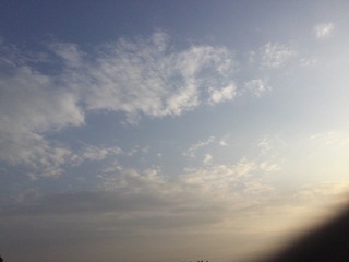 0F280E21-C880-4A8D-BD5D-15B0D0E200CA/L0/001