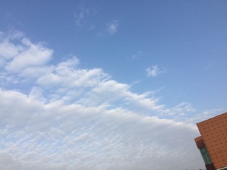 53DA5C44-C9DD-4D33-BB20-DD882B163B95/L0/001