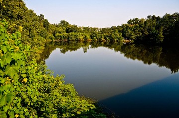 DSC_2968.jpg