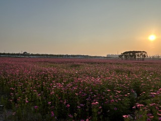 5965B853-A9E9-4A64-AC75-88F4FD2DF096/L0/001
