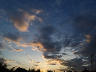 5298081