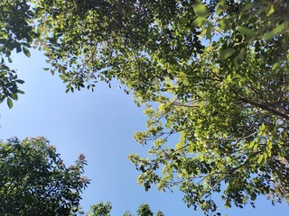 1000008614