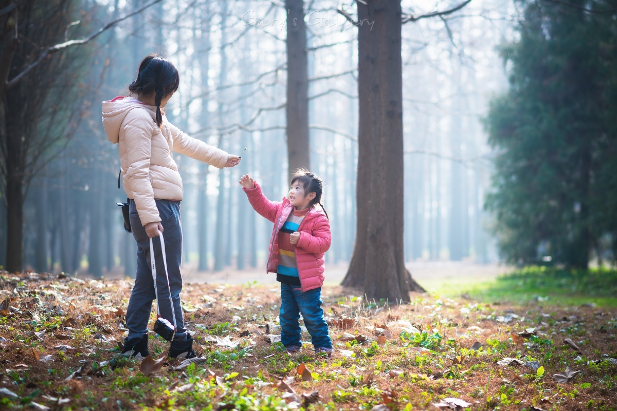 非常可惜,人和树冲突了.