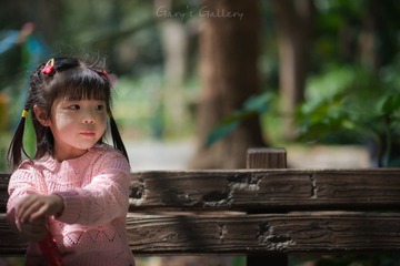 DSD_9118