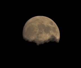 B3031027-2C28-4195-B471-CB455D97E953/L0/001