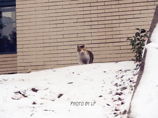 DSC02715.jpg