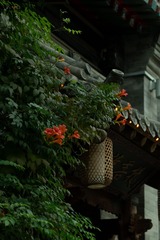 F8DFE69D-1476-4E04-A57B-BF0A5B0F862A/L0/001