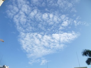126316