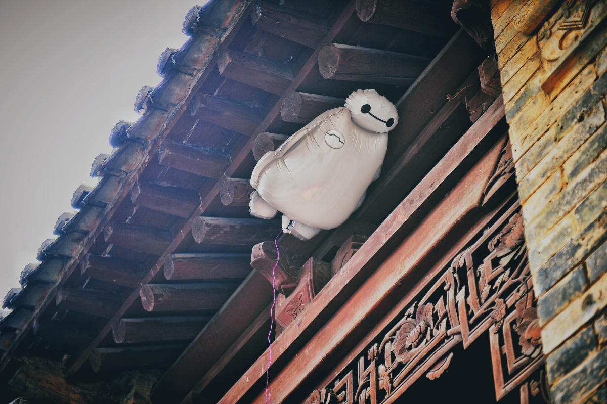 大白现实中的样子 - 小品 - 拍照片的刘洋 - 图虫