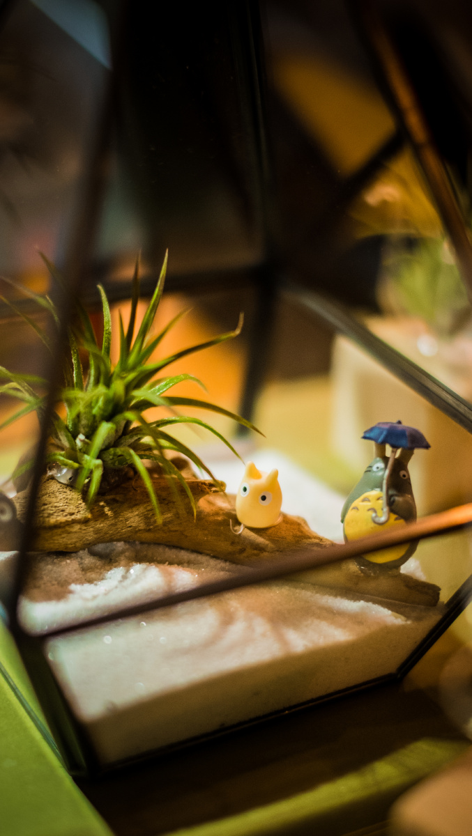 大,装一份爱足矣 - 花卉, 小品 - 拍照片的刘洋 - 