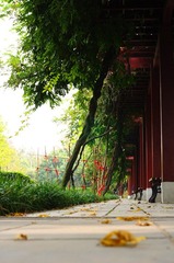 DSC_0039_副本.jpg