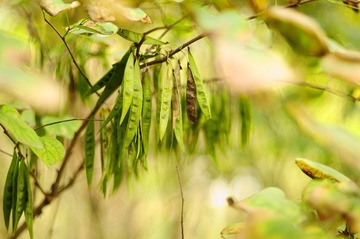 DSC_0057_副本.jpg
