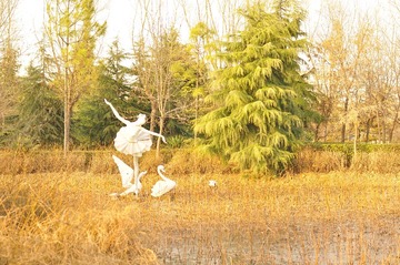 DSC_1479.JPG