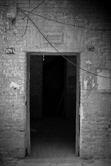 DSC_6730_