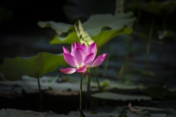 001
