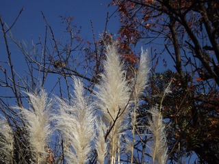 30D90DD0-4686-4E5D-AC44-7D85CFC0B342/L0/001