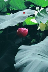 660D7D3D-85A6-45AC-9CE5-70ECCABA13A1/L0/001