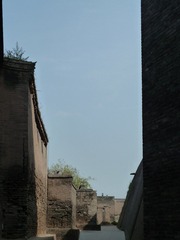 P1020335.JPG