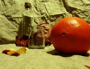 P1020826.jpg