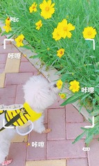 E4C958EC-1A44-4A9A-ADA8-D5F2D5CC417A/L0/001