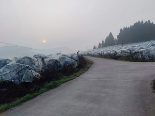 4322470