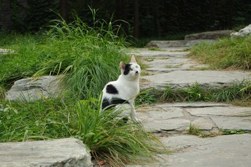 IMGP0172.jpg