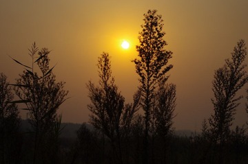 IMGP0505.JPG