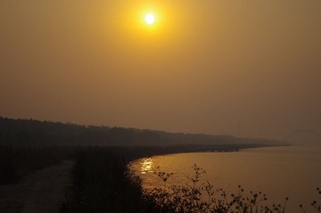 IMGP0513.JPG