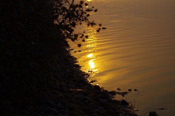 IMGP0515.JPG