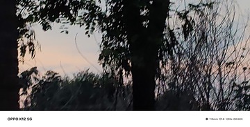 1000003166