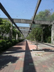 511616