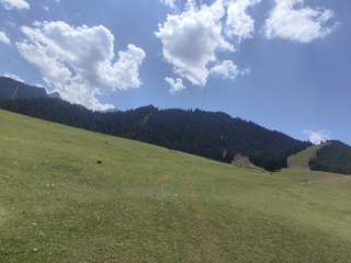 1000002832