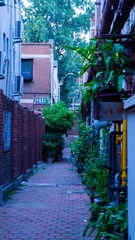 36A691E8-7A39-4287-A61A-C668BC197F04/L0/001