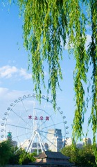 A5C59991-64D8-4AD1-B200-4654E05E29CD/L0/001