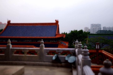 DSC02198.jpg