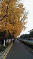 1508856