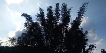 246687