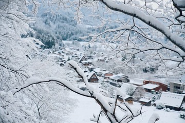 IMG_3208 2