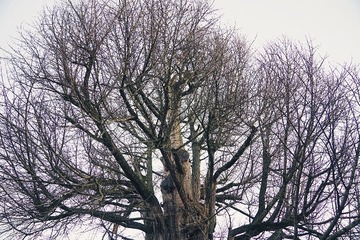 IMG_3297 2