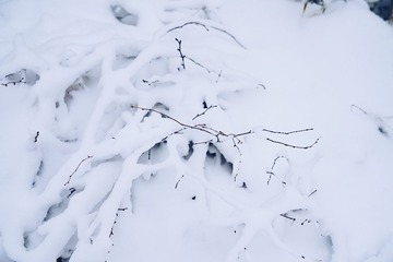 IMG_3151 2
