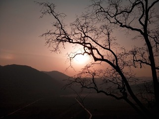 0D4CE90A-184E-43BE-97BF-7DFF2738B0FE/L0/001