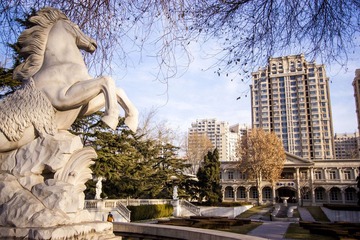 IMG_0887.jpg
