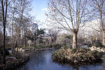 IMG_0897.jpg