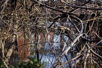 IMG_0928.jpg