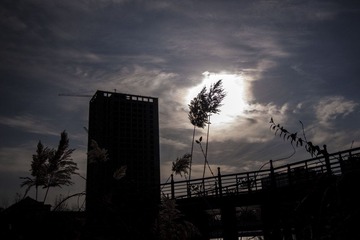IMG_0940.jpg