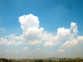 0819.jpg