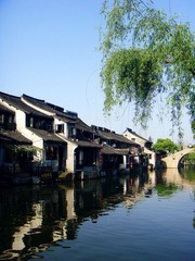 DSC05681.JPG