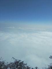 1213009