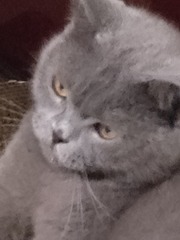 273