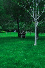 F4337219-3837-4693-9DD5-4A6D8E0713FA/L0/001